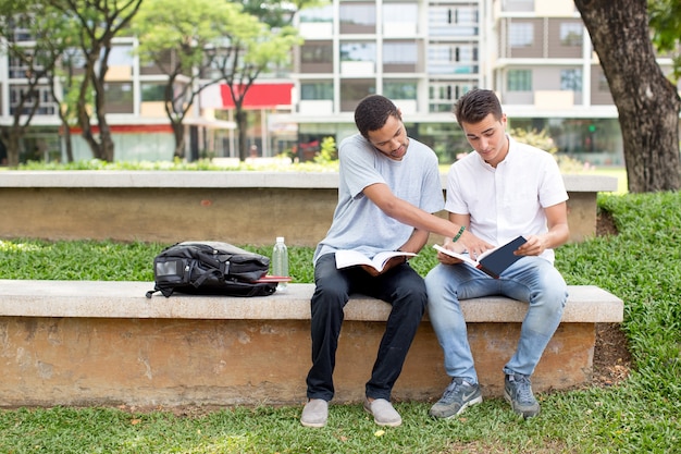 Poważni wieloetniczni mężczyźni studenci odrabiają lekcje