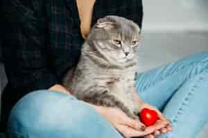 Bezpłatne zdjęcie poważny kot siedzi na rękach gospodyni