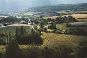 Bezpłatne zdjęcie powietrzna sceneria pięknej wioski z drzewami i nizinami