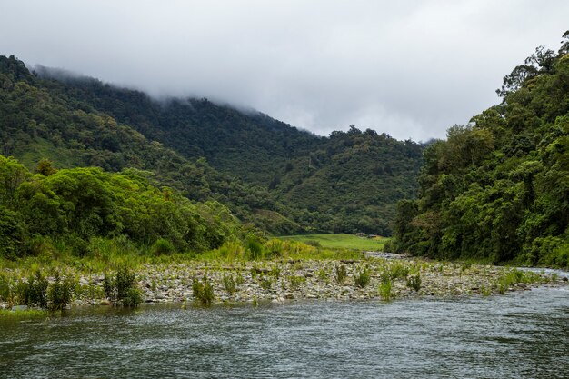 Powoli płynącej rzeki w tropikalnym lesie deszczowym na Kostaryce