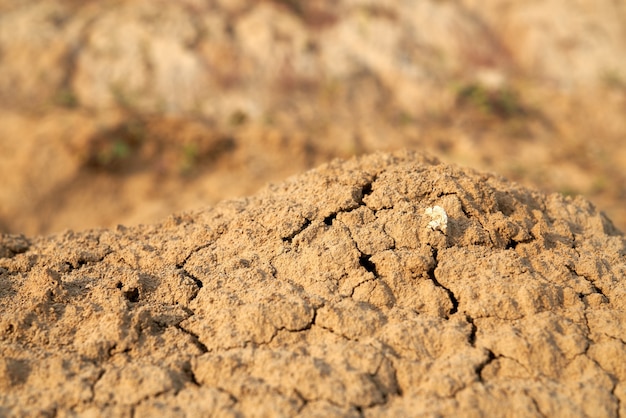 Powyżej widok na stosy brązowego, kruchego piasku na pustyni.