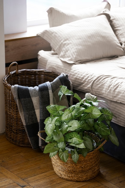 Projekt sypialni z łóżkiem i rośliną doniczkową