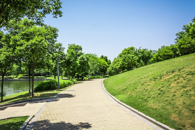 Promenada w pięknym parku miejskim