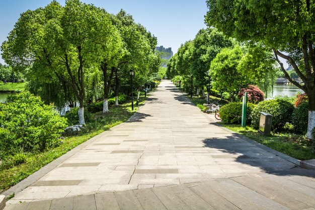 Promenada w pięknym parku miejskim