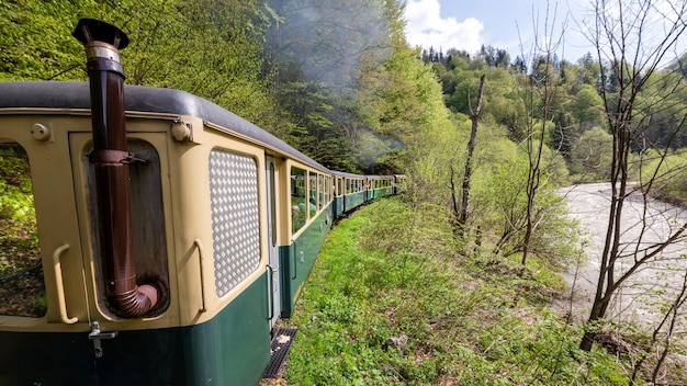 Przemieszczający się pociąg parowy Mocanita z pasażerami w Rumunii