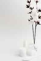 Bezpłatne zdjęcie przygotowania z kwiatami i białym tłem
