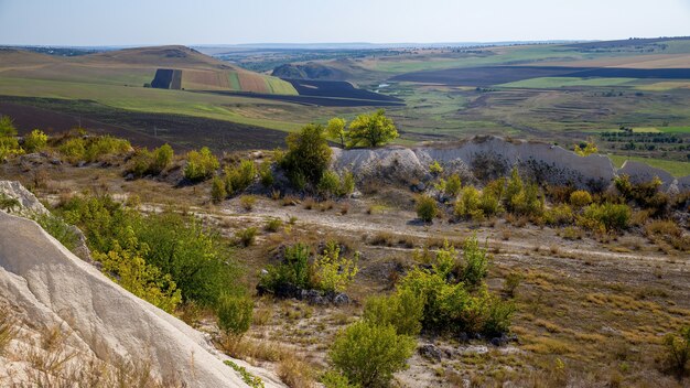Przyroda Mołdawii, krzewy, rzadka trawa, rozległe równiny z obsianymi polami