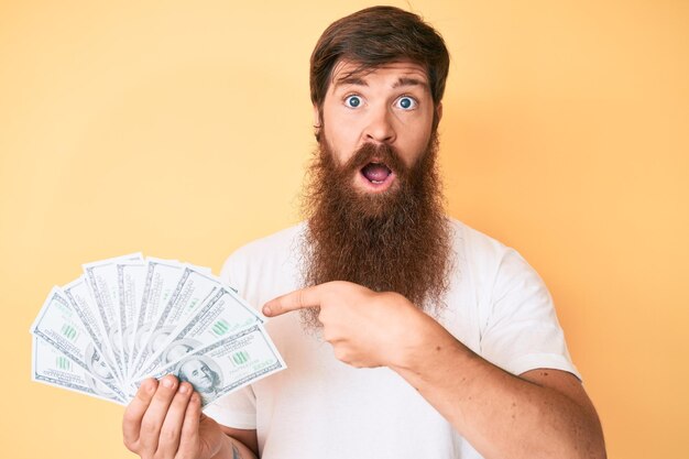 Przystojny młody rudy mężczyzna z długą brodą trzymający dolary, nieświadomy i zdezorientowany wyraz twarzy. koncepcja wątpliwości.