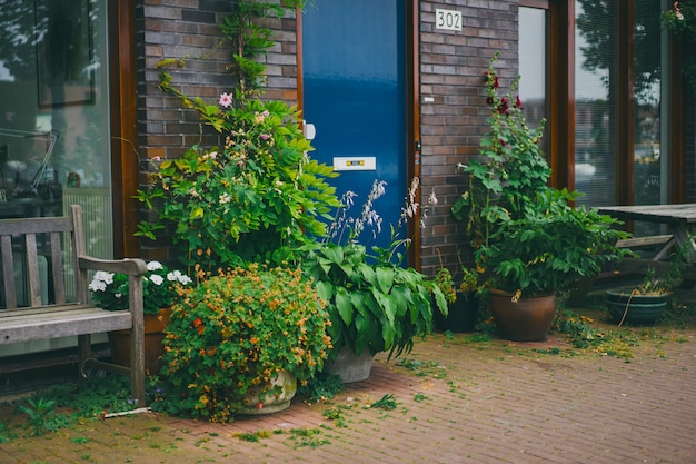 przytulne podwórka w Amsterdamie, ławki, rowery, kwiaty w wannach.