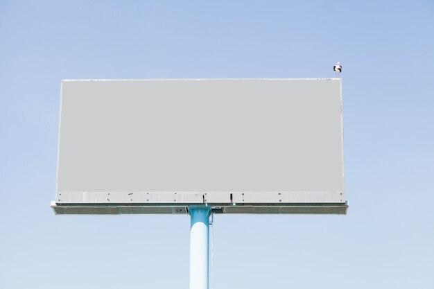 Ptaka tyczenie na pustym billboardzie dla reklamy przeciw niebieskiemu niebu
