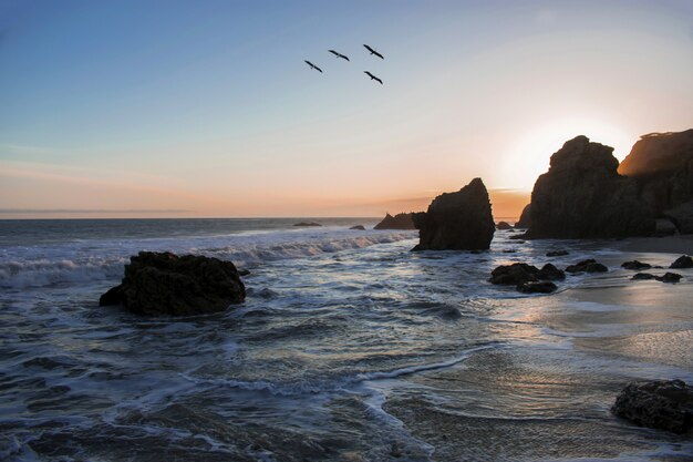 Ptaki latające nad brzegiem oceanu podczas zapierającego dech w piersiach zachodu słońca