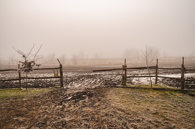 Bezpłatne zdjęcie puste pole z drewnianymi płotami i mgłą