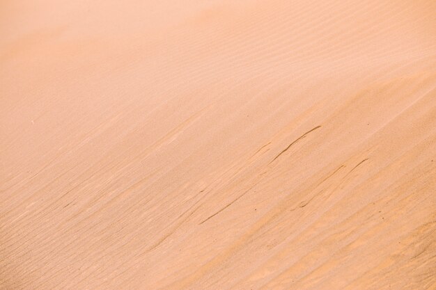Pustynny krajobraz w Maroku