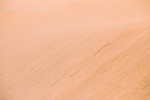 Pustynny krajobraz w Maroku