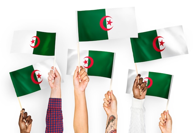 Bezpłatne zdjęcie ręce macha flagami algierii