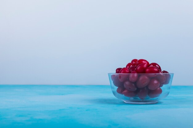 Red cornels w szklanej filiżance na niebiesko.