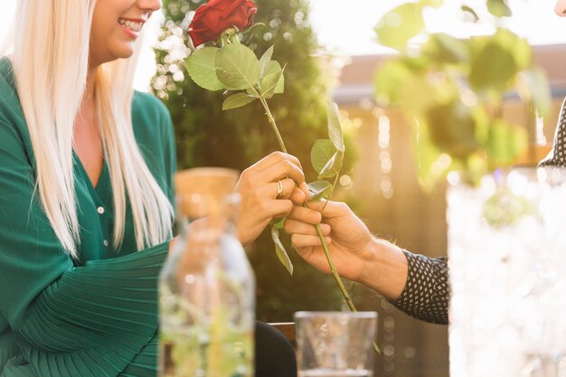 Ręka mężczyzny dając czerwona róża jej dziewczyna