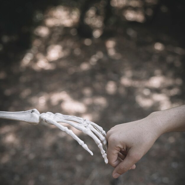 Ręka Skeletona łącząca ludzką pięść
