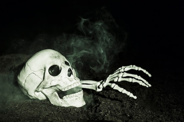 Ręka szkieleta wystaje z czaszki na ziemi
