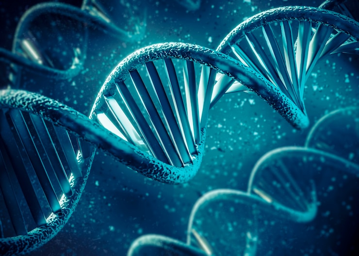 Bezpłatny plik Zdjęcie reprezentacja 3d dna