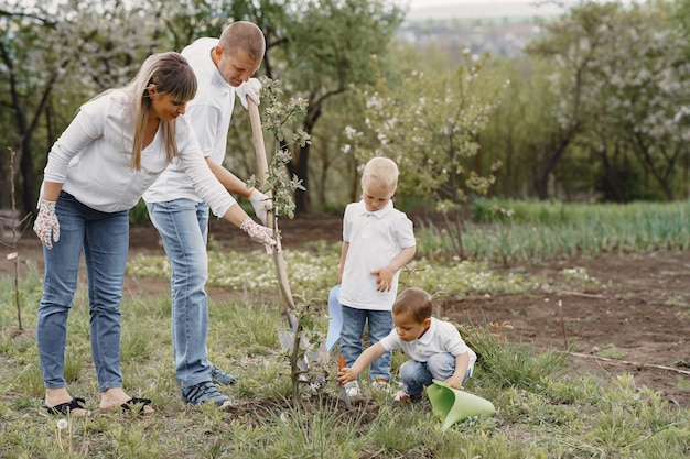 Rodzina z małymi synami sadzi drzewo na podwórku