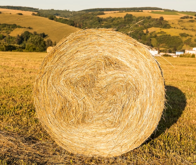 Bezpłatne zdjęcie rolka siana w polu