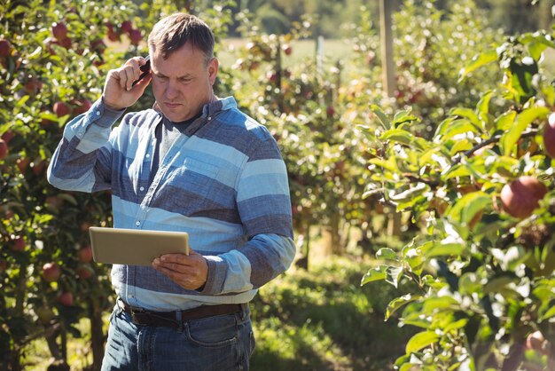 Rolnik używa cyfrową pastylkę podczas gdy opowiadający na telefonie komórkowym w jabłczanym sadzie