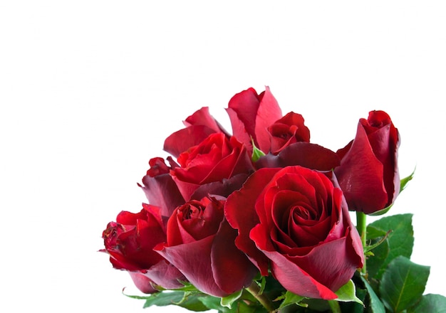 romantyczny róży pachnące uczucia