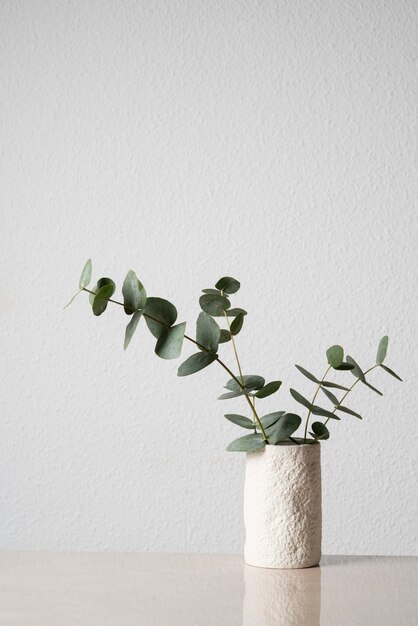 Roślina eukaliptusa w białym wazonie na stole