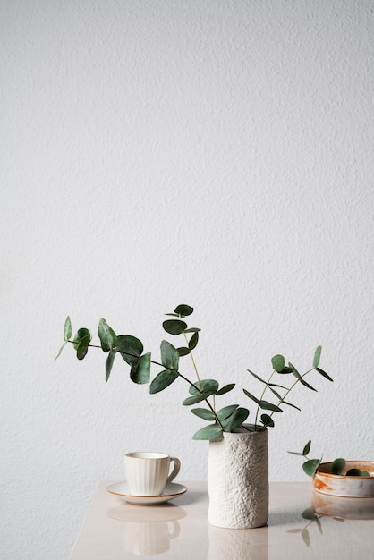 Roślina eukaliptusa w białym wazonie z miejscem na kopię