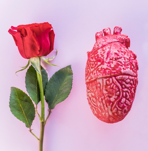 Bezpłatne zdjęcie róża oddział z ceramiki ludzkiego serca