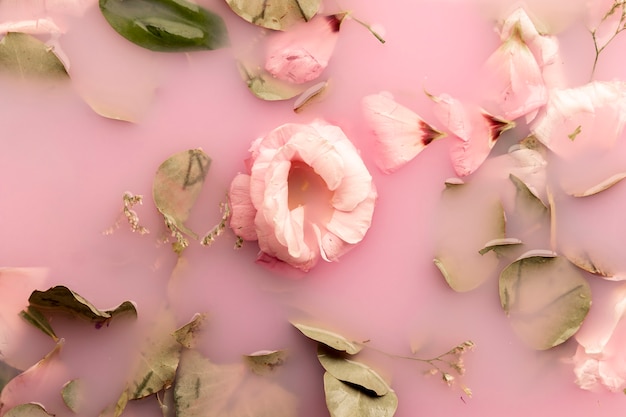 Bezpłatne zdjęcie róże leżały płasko w różowej wodzie