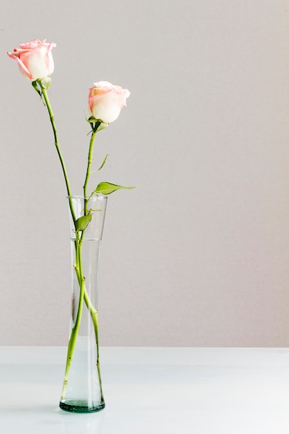 Róże w szklanym wazonie