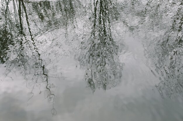 Rozmyta, Niewyraźna, Przezroczysta Tekstura Powierzchni Wody Z Odbiciami Gałęzi Drzew Abstrakcyjna Natura Premium Zdjęcia