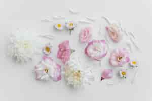 Bezpłatne zdjęcie różne kompozycje świeżych kwiatów