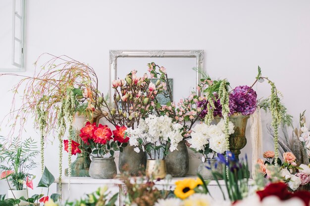 Różne kwiaty i rośliny na półce