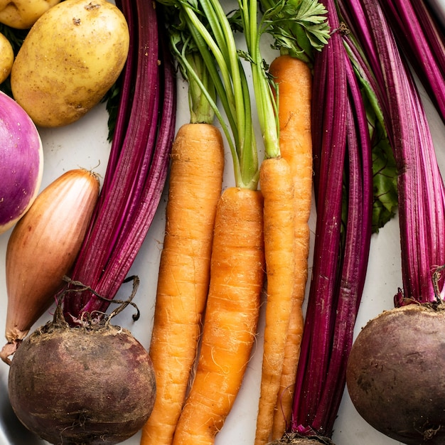 Bezpłatne zdjęcie różne świeże organiczne warzywa na metalowej tacy