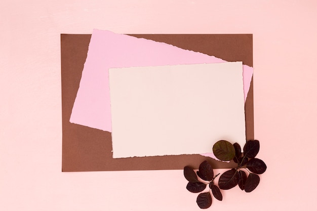 Bezpłatne zdjęcie różnorodność kolorowych papierów z suszonymi liśćmi
