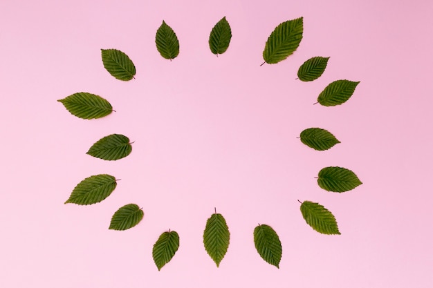 Bezpłatne zdjęcie różnorodność liści tworzących koło