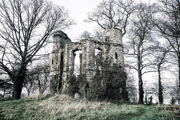 Ruiny starego zamku w angielskim lesie