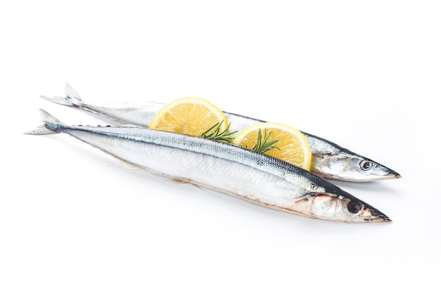 Ryba saury