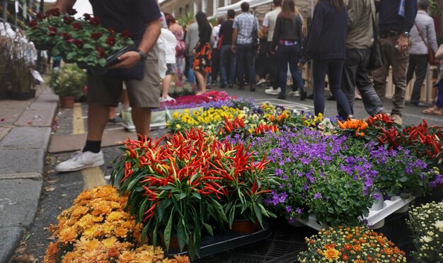 Rynek uliczny kwiat
