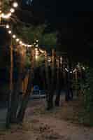 Bezpłatne zdjęcie rząd drzew ozdobiony wiszącymi żarówkami podczas nocnej imprezy jezioro sevan armenia