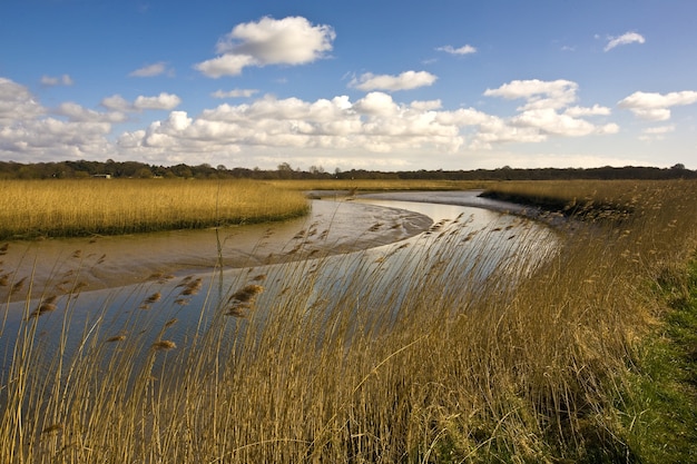Bezpłatne zdjęcie rzeka alde otoczona polami nasłonecznionymi i błękitnym niebem w wielkiej brytanii