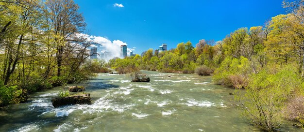Rzeka Niagara Widziana Z Koziej Wyspy - Nowy Jork, Stany Zjednoczone Premium Zdjęcia