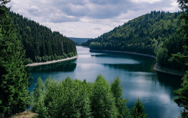 Rzeka otoczona lasami pod zachmurzonym niebem w Turyngii w Niemczech