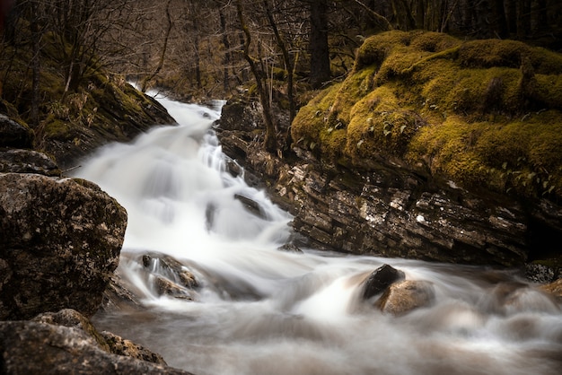 Rzeka otoczona skałami porośniętymi mchami i drzewami w lesie jesienią