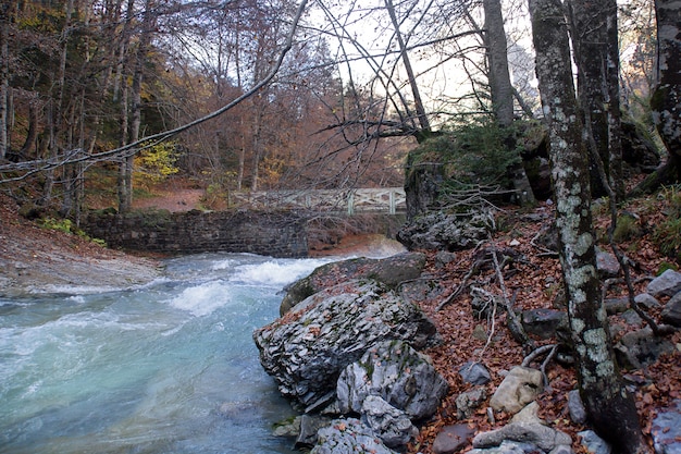 Rzeka w Ordesa National Park, Pireneje, Huesca, Aragonia, Hiszpania
