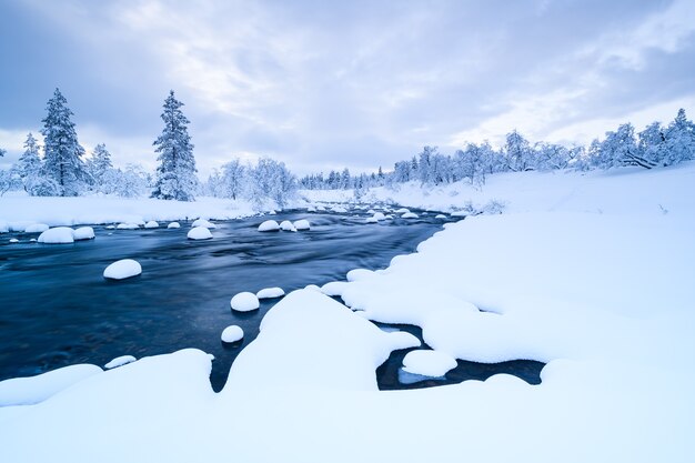 Rzeka ze śniegiem w nim i las w pobliżu pokryte śniegiem w zimie w Szwecji