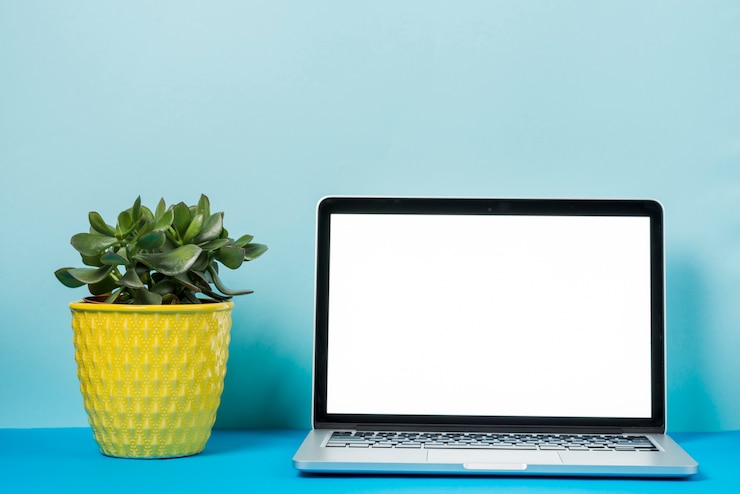 Bezpłatny plik Zdjęcie sadzenie w pobliżu laptopa
